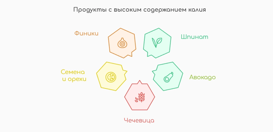 Продукты с высоким содержанием калия (инфографика)